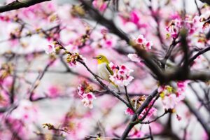 Gbf5e68dfbbe01fa8e956467f8ef2c4e95cd1106a1d8c0dfc6fded644cf4abb5b8c956f7110cbf26598f58cce4d708157af90ba026faa8b9b8190f995b5ad2643 640