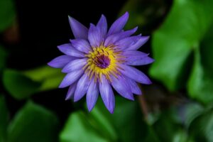 Ge8d2c2773331c5d655502cb788d968bdf968b22404f689079ee528c5a3fb383bbbad62763e418c17de146a39b29c1a5106219844578b0c3758d4495d77a8a254 640